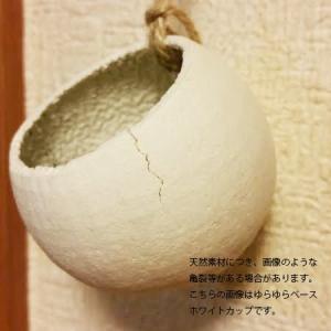 ドライ 大地農園 ベルカップ アースデコ 5個...の詳細画像1