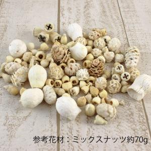 ドライ 大地農園 ミックスナッツ 約120g ...の詳細画像1