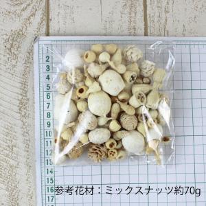ドライ 大地農園 ミックスナッツ 約120g ...の詳細画像2