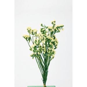 プリザーブド 大地農園 スターチス　約25ｇ　イエロー 02450-500 プリザーブドフラワー花材 小花