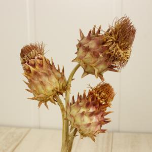 ドライ 大地農園 アーティーチョーク ミニ 約...の詳細画像1