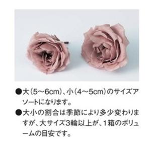 プリザーブド 大地農園 マジョリカ サイズアソ...の詳細画像1