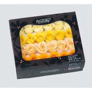 プリザーブド 東花 フィンランドモス ナチュラル 約40g 71101