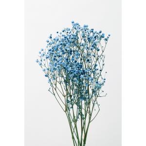プリザーブドフラワー 花材 即日出荷 カスミ草・オーバータイム 白