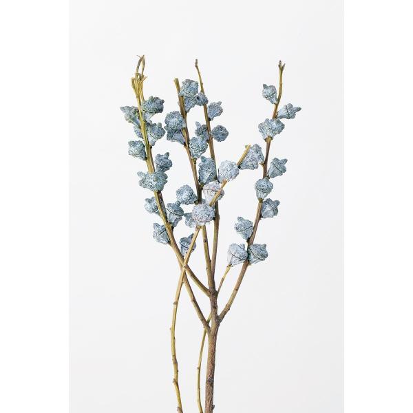 ドライ 大地農園 ユーカリ グロボラス N 約65〜80g 40230-000 ドライ実物＆フルーツ...