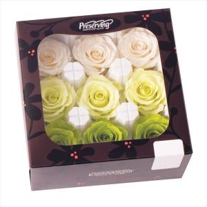 プリザーブド 大地農園 ローズ かのん M 9輪 ピュアホワイト 05202