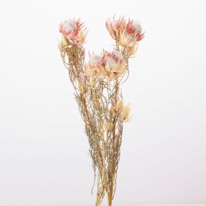 ドライ 大地農園 ブラッシングブライド 3本 Ｎ 40420-000 ドライワイルドフラワー その他ワイルドフラワー