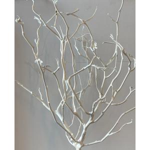 ドライ 大地農園 ベグンツリー 2本 オフホワイト 51980-011 ドライ枝物 塗り枝 サラシ ドライ