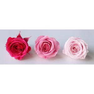 プリザーブド GARDEN PALETTE MONO リサ ローズ 9輪 ピュアホワイト
