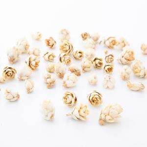 日限定10 ドライ m flowers 押し花 マトリカリア ダブルラテ ドライ