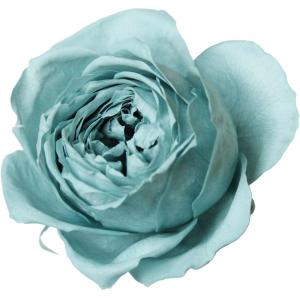 プリザーブド 大地農園 ローズ ココット 9輪 モーブピンク 02730-192