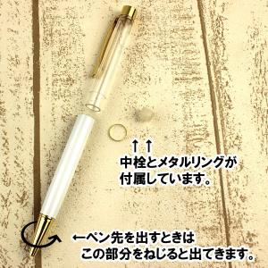 日限定07 ハーバリウムボールペン 金クリップ...の詳細画像2