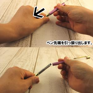 日限定07 ハーバリウムボールペン専用替え芯 ...の詳細画像1