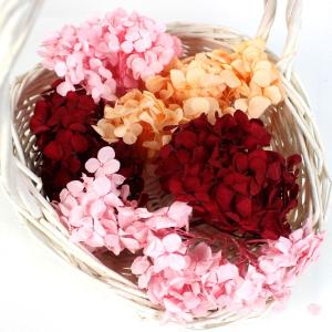 プリザーブドフラワー 花材(No.31) アジサイ　各種　29箱 プリザーブドフラワー 花材(No.31) アジサイ 各種 29箱 楽天市場