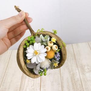 日限定10 はなどんやキット ブッダナッツのア...の詳細画像2