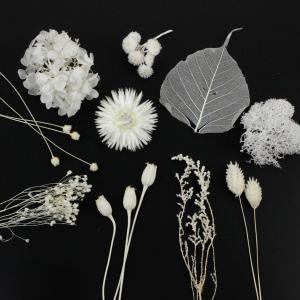 日限定10 フラワーアソートパック Petit...の詳細画像1