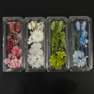 日限定10 フラワーアソートパック Petit...の詳細画像5