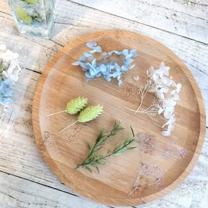 ❇️ドライフラワー 花材❣️5種類 日限定10 フラワーアソートパック littlePetit キュート はなどんや