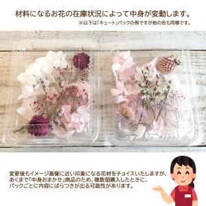 日限定10 フラワーアソートパック littl...の詳細画像3