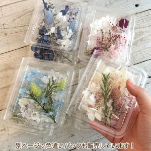 日限定10 フラワーアソートパック littl...の詳細画像4