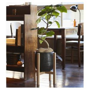 クレイ Wood stand combi_31...の詳細画像2
