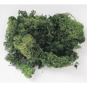 プリザーブド 東花 フィンランドモス モスグリーン 約40ｇ 71107 プリザーブドグリーン モス 苔