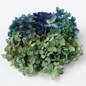 プリザーブドフラワー アジサイ グリーン プリザーブドフラワー アジサイ グリーン アジサイ ナチュラル