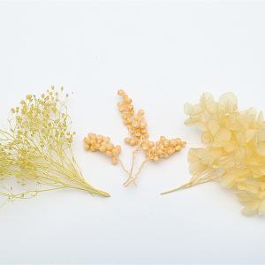 日限定07 東花 ＦＭ　フラワーアソート　イエロー 80593 プリザーブドフラワー花材 カスミ草