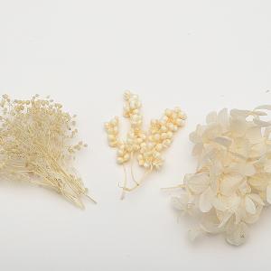 天然素材 メタセコイアの実20個 木の実 : 素材屋・金魚 - 通販 - Yahoo