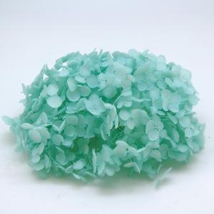 プリザーブド 東花 ソフトあじさいアナベル 約2.5輪 ミントブルー 64315 プリザーブドフラワー花材 アジサイ