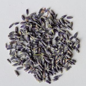 日限定07 ドライ 東花 ラベンダーポプリ 大袋 ナチュラル 約1kg 62009 ドライフラワー花材 ラベンダー 爆買