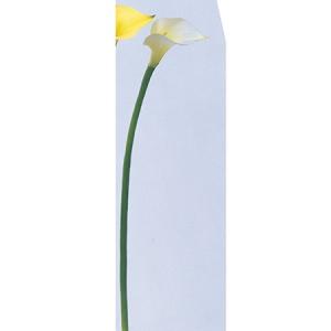 造花 アスカ カラーリリィ ホワイトグリーン A-36067-52 01 造花 花材 「か行」 カラーの商品画像