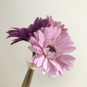 造花 アスカ ミニガーベラバンチ 1束3本 　パープル A-32214-7 造花 花材「か行」 ガーベラ
