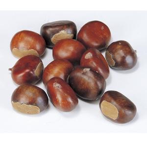 造花 アスカ Ａ−２０２５６　クリ １箱１２コ ＃０２８　ブラウン