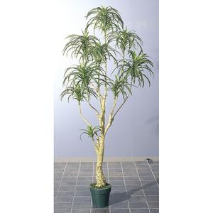 日限定21 直送 人工観葉植物 光の楽園 光触媒 スリムサラサドウダン1.7