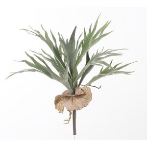 造花 アスカ スタッグホーン フロストグリーン ...の商品画像
