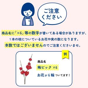 造花 アスカ アザミ×22 イエロー A-34...の詳細画像1
