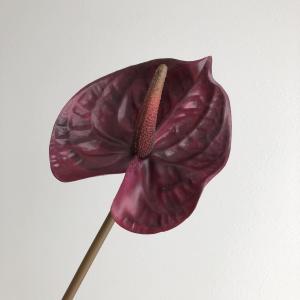 アンスリューム フラワーアレンジメント の商品一覧 花 ガーデニング 通販 Yahoo ショッピング