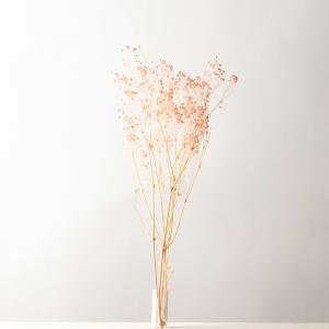 ドライ アスカ カスミソウ ピンク AN82010-003 ドライフラワー花材 カスミ草