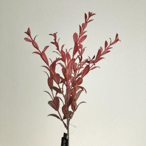 造花 アスカ マートルスプレー #015 バーガンディ A-44267-15 造花葉物、フェイクグリーン その他の造花グリーン 爆買