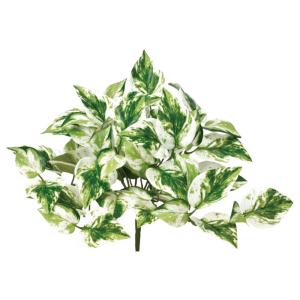 造花 アスカ ポトスブッシュ ヴァリゲイトグリーン A-44372-51V 造花葉物、フェイクグリーン ポトス