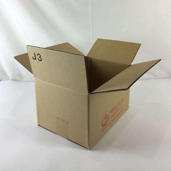ダンボール箱 ロゴあり 　宅配80サイズ　310ｘ220ｘ180mm J-3 10枚 ダンボール 宅...