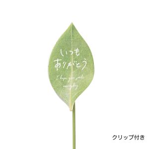 GREENHOUSE 木製プレートピック 葉っぱにありがとう 本