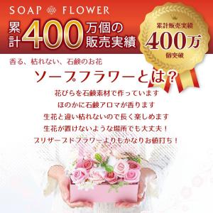 ソープフラワー ポピー名古屋 S-140 S-...の詳細画像4