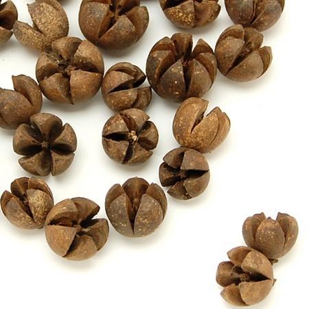 日限定10 アウトレット ドライ コアトレーディング ワラッチポッド 80g 約60コ ナチュラル ...