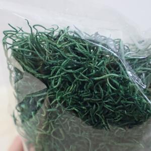 日限定21 ドライ コアトレーディング スパニ...の詳細画像3