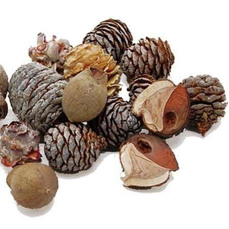 日限定10 ドライ コアトレーディング ＬＤアソートコーン 大袋 ナチュラル 10723 ドライ実物...