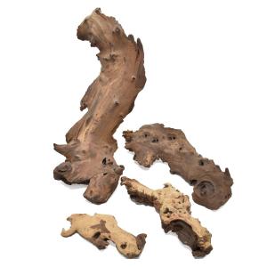 日限定10 ドライ コアトレーディング ナミブ砂漠の流木 ＬＬ ナチュラル 18876 5袋 ドライ枝物 その他