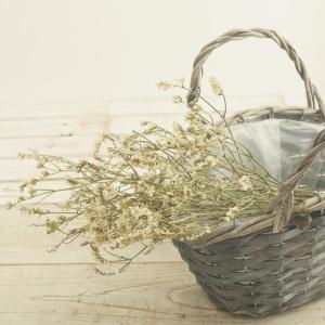 パンパスグラスと白いお花のナチュラル流木ガーラント パンパスグラス