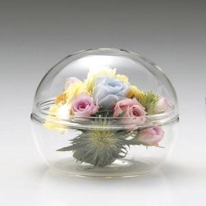 LEOタカオカ ガラス　Ｔ−１５５１　ボールキャニスターＳ 142-1551-0 花器 花瓶 ドーム、ガラスドーム